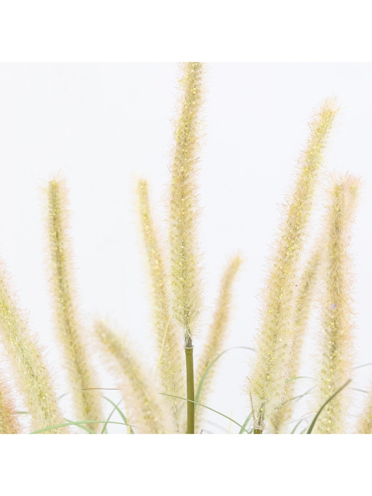 Gallery Home 5 Pack White Faux Potted Grass with Cattail Seed Small Heads - Image 5 of 5