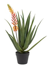 Gallery Home Orange Faux Aloe Potted Plant with Flower - Image 1 of 3
