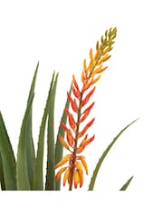 Gallery Home Orange Faux Aloe Potted Plant with Flower - Image 2 of 3