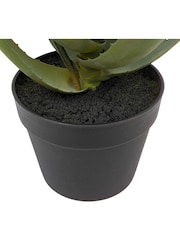 Gallery Home Orange Faux Aloe Potted Plant with Flower - Image 3 of 3