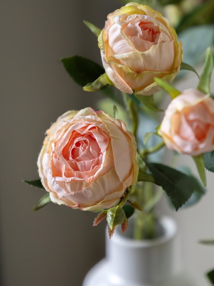 Gallery Home 6 Pack White Faux Stem Vintage Roses - Image 1 of 4 Gallery Home 6 Pack White Faux Stem Vintage Roses - Image 1 of 4