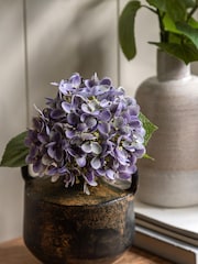 Gallery Home 12 Pack Purple Faux Vintage Cone Hydrangea Floral Stems - Image 1 of 5
