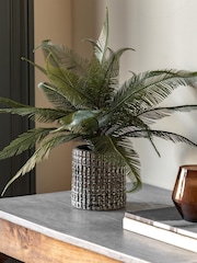 Gallery Home Grey Faux Wide Fern in Concrete Pot - Image 1 of 6