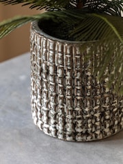 Gallery Home Grey Faux Wide Fern in Concrete Pot - Image 3 of 6