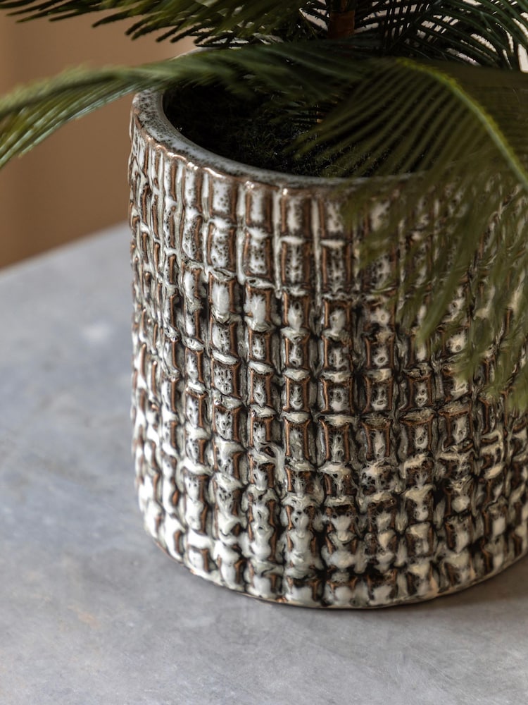 Gallery Home Grey Faux Wide Fern in Concrete Pot - Image 3 of 6