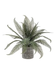 Gallery Home Grey Faux Wide Fern in Concrete Pot - Image 4 of 6