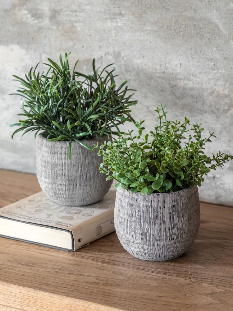 Gallery Home Set of 2 Natural Faux Potted Rosemary Plants - Image 1 of 4