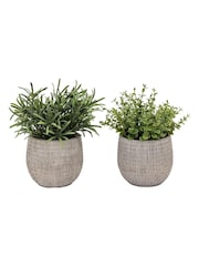 Gallery Home Set of 2 Natural Faux Potted Rosemary Plants - Image 2 of 4
