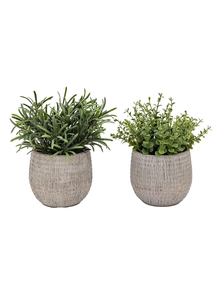 Gallery Home Set of 2 Natural Faux Potted Rosemary Plants - Image 2 of 4
