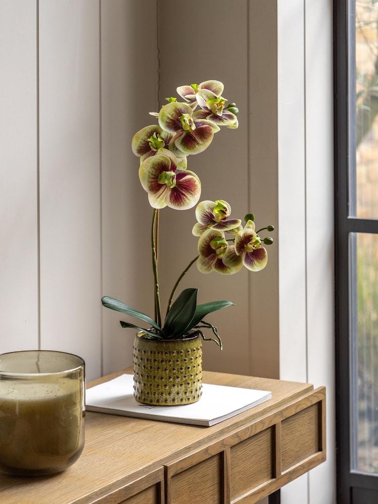 Gallery Home Multi Faux Orchid in Ceramic Dot Pot - Image 1 of 6 Gallery Home Multi Faux Orchid in Ceramic Dot Pot - Image 1 of 6