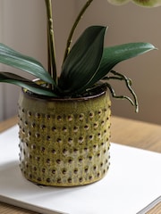 Gallery Home Multi Faux Orchid in Ceramic Dot Pot - Image 3 of 6