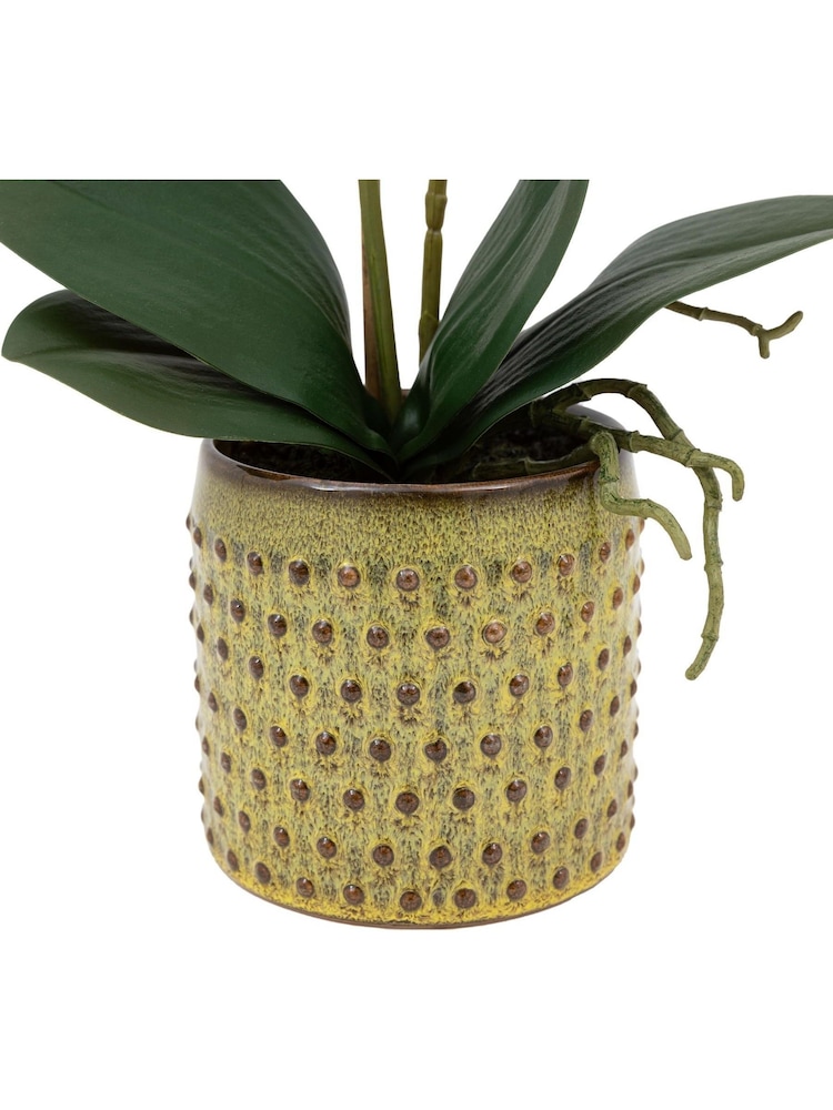 Gallery Home Multi Faux Orchid in Ceramic Dot Pot - Image 6 of 6 Gallery Home Multi Faux Orchid in Ceramic Dot Pot - Image 6 of 6