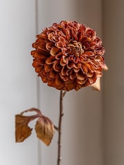 Gallery Home 6 Pack Burnt Orange Faux Stem Dahlias - Image 1 of 4