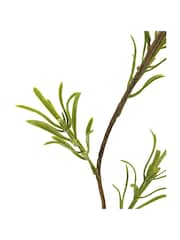 Gallery Home 12 Pack Green Faux Rosemary Stems - Image 3 of 3