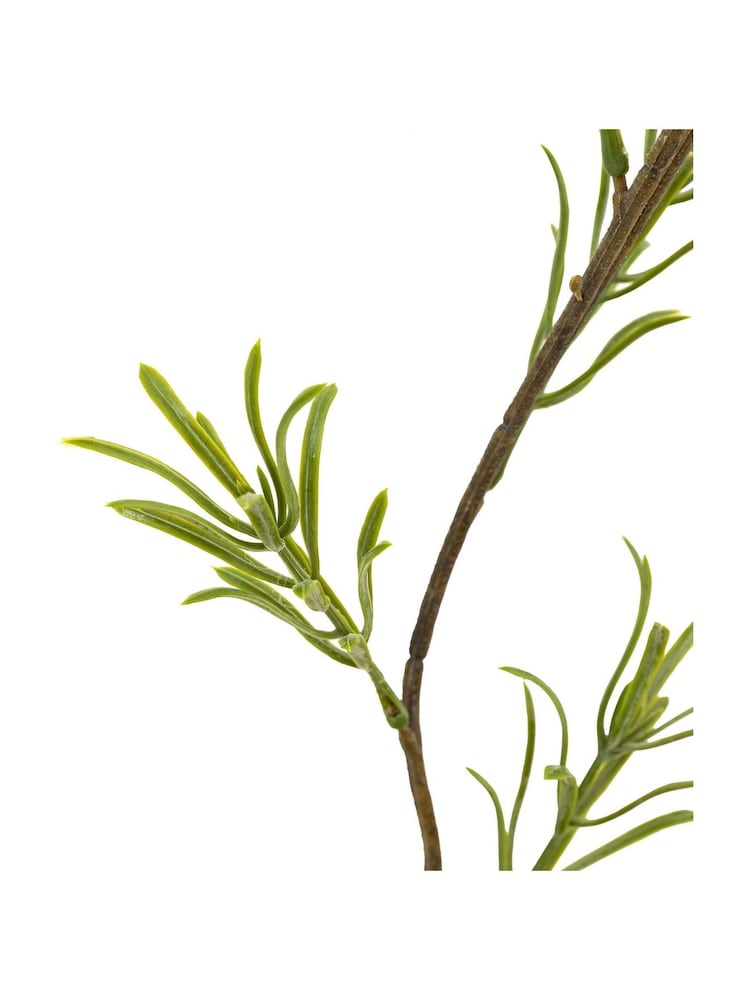 Gallery Home 12 Pack Green Faux Rosemary Stems - Image 3 of 3