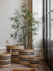 Gallery Home Green Small Faux Potted Bamboo Tree - Image 1 of 6