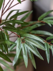 Gallery Home Green Small Faux Potted Bamboo Tree - Image 3 of 6