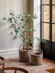 Gallery Home Green Faux Potted Rhodoleia 5ft Tree - Image 1 of 6