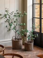 Gallery Home Green Faux Potted Rhodoleia 5ft Tree - Image 2 of 6