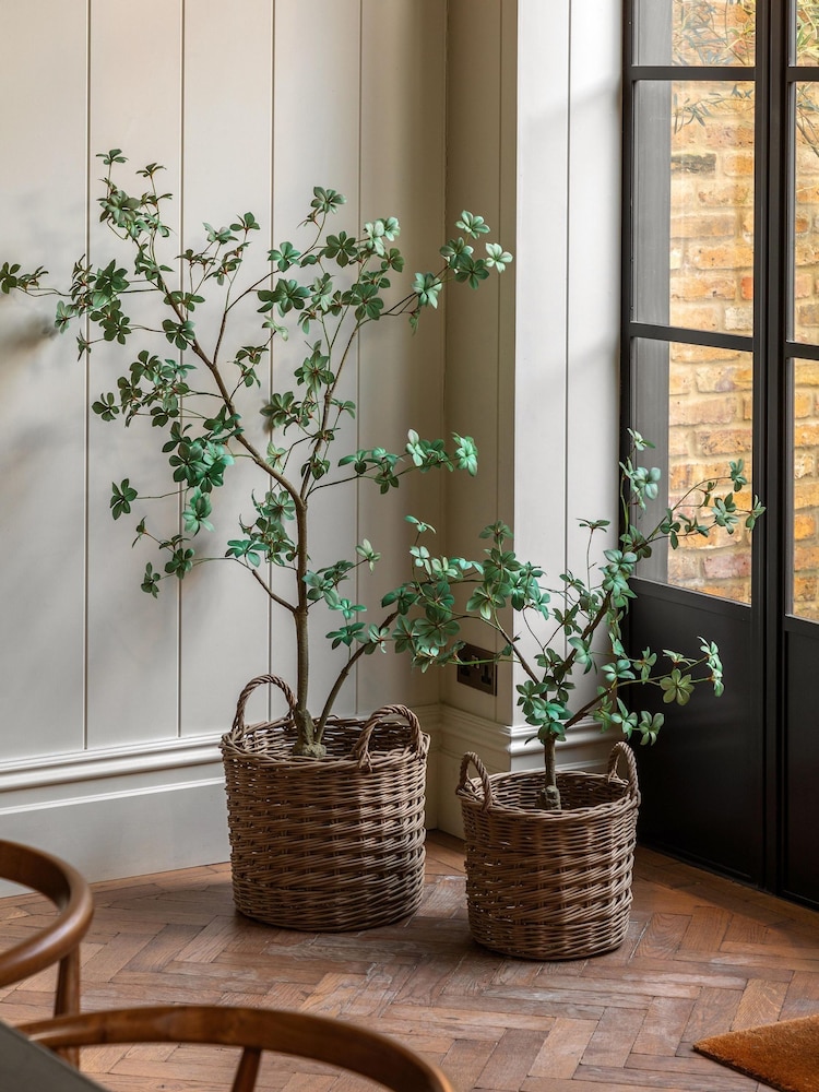 Gallery Home Green Faux Potted Rhodoleia 5ft Tree - Image 2 of 6 Gallery Home Green Faux Potted Rhodoleia 5ft Tree - Image 2 of 6