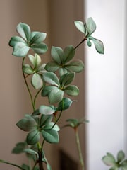 Gallery Home Green Faux Potted Rhodoleia 5ft Tree - Image 3 of 6