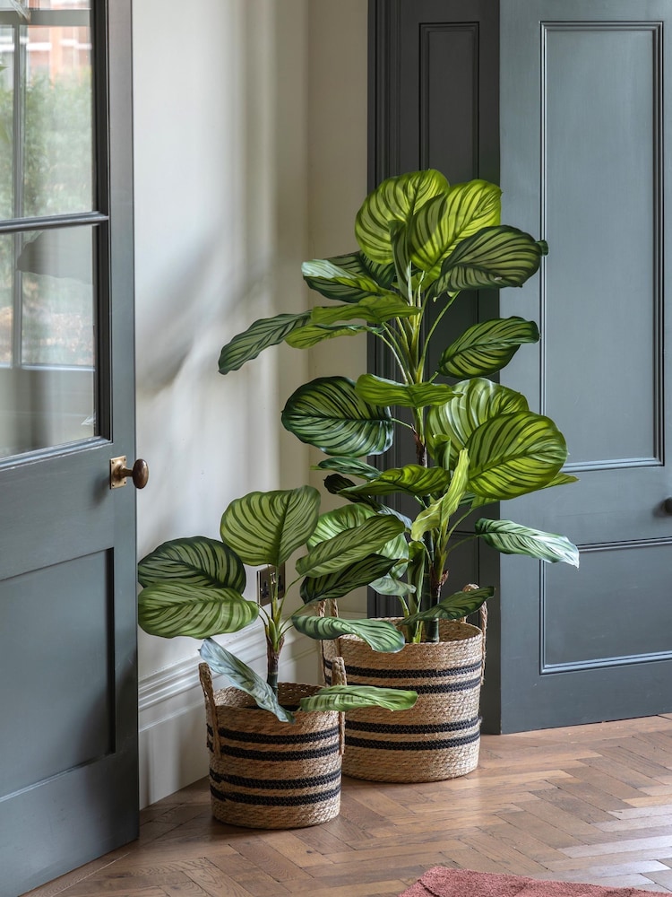 Gallery Home Green Large Faux Potted Calathea Leaf Tree - Image 1 of 5 Gallery Home Green Large Faux Potted Calathea Leaf Tree - Image 1 of 5