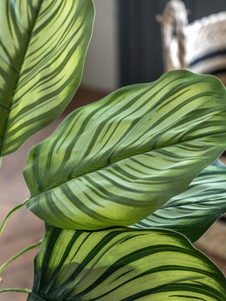 Gallery Home Green Large Faux Potted Calathea Leaf Tree - Image 2 of 5 Gallery Home Green Large Faux Potted Calathea Leaf Tree - Image 2 of 5
