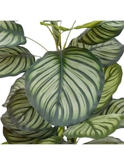 Gallery Home Green Large Faux Potted Calathea Leaf Tree - Image 4 of 5