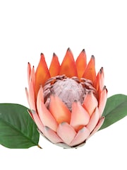 Gallery Home 12 Pack Apricot Faux Stem Statement Tropical Artificial Flowers - Image 4 of 5