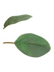 Gallery Home 12 Pack Apricot Faux Stem Statement Tropical Artificial Flowers - Image 5 of 5