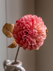 Gallery Home 6 Pack Apricot Faux Stem Dahlias - Image 1 of 4