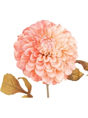 Gallery Home 6 Pack Apricot Faux Stem Dahlias - Image 4 of 4
