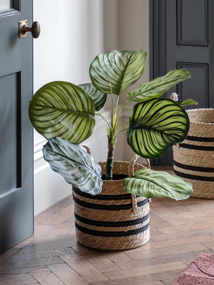 Gallery Home Green Small Faux Potted Calathea Leaf Tree - Image 1 of 6