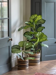 Gallery Home Green Small Faux Potted Calathea Leaf Tree - Image 2 of 6