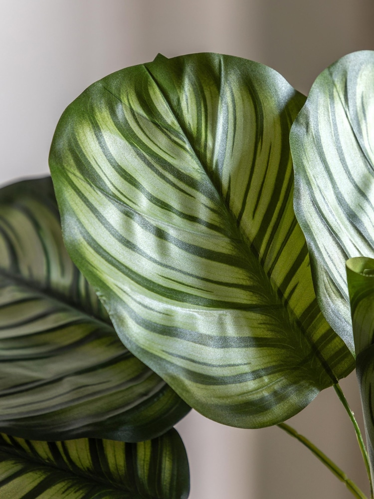 Gallery Home Green Small Faux Potted Calathea Leaf Tree - Image 3 of 6