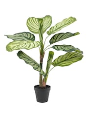 Gallery Home Green Small Faux Potted Calathea Leaf Tree - Image 4 of 6