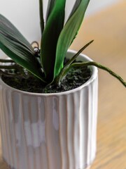Gallery Home White Small Faux Orchid in Ribbed Ceramic Pot - Image 3 of 6