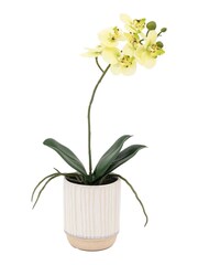 Gallery Home White Small Faux Orchid in Ribbed Ceramic Pot - Image 4 of 6