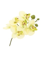 Gallery Home White Small Faux Orchid in Ribbed Ceramic Pot - Image 5 of 6