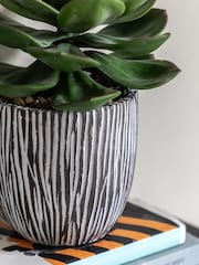 Gallery Home Black Faux Potted Succulent in Ribbed Ceramic Pot - Image 2 of 5