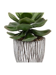 Gallery Home Black Faux Potted Succulent in Ribbed Ceramic Pot - Image 4 of 5