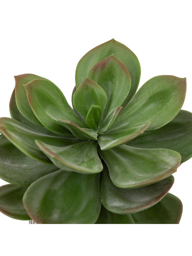Gallery Home Black Faux Potted Succulent in Ribbed Ceramic Pot - Image 5 of 5