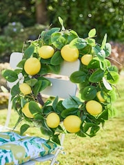 Dibor Green Agrumi Lemon Wreath - Image 1 of 3