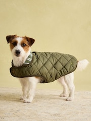 Joules Green Quilted Coat - Image 1 of 6