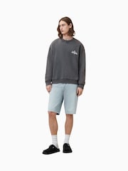 AllSaints Grey Soleil Crew 100% Organic Cotton Sweatshirt - Image 5 of 6