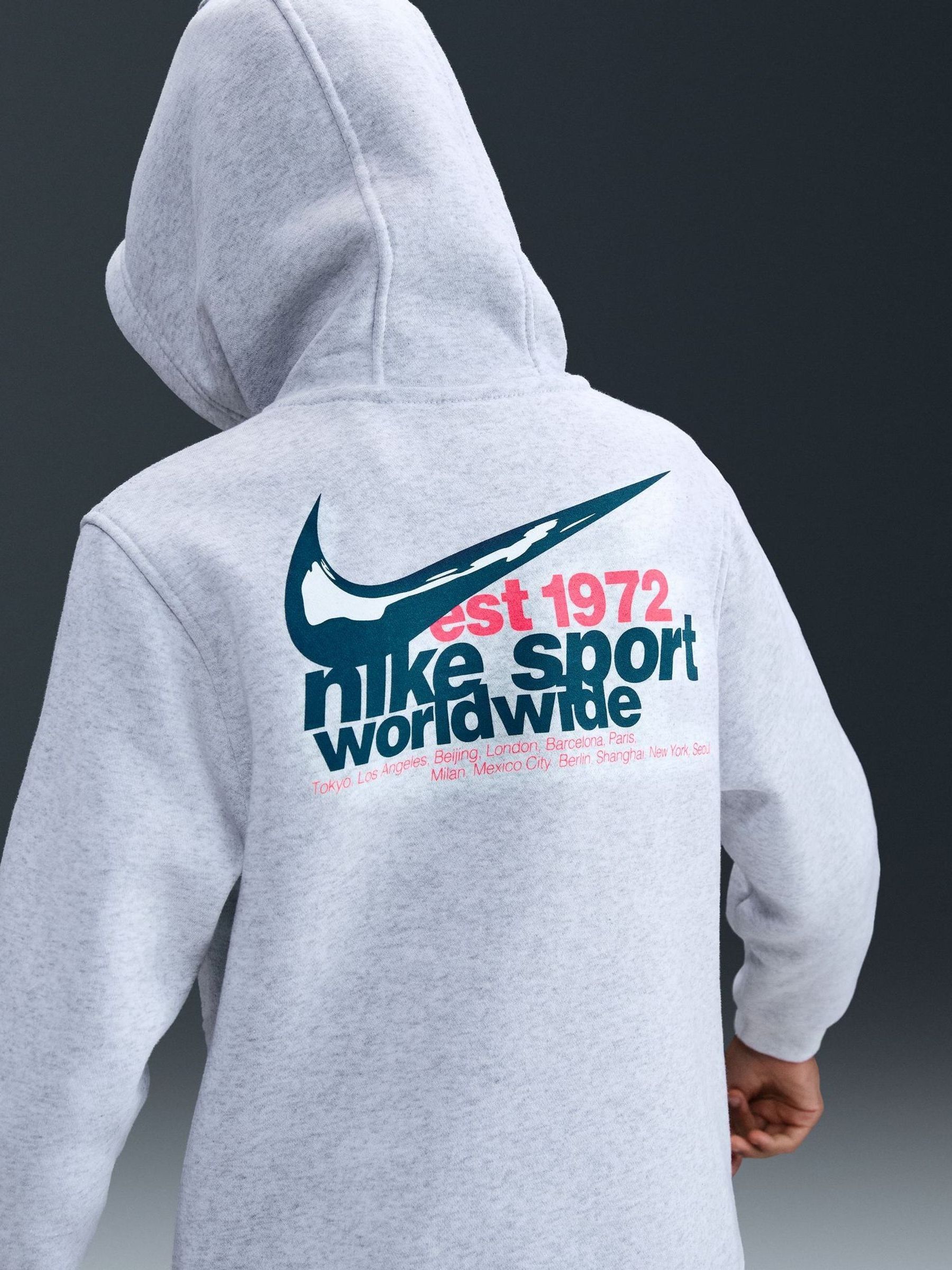 nike birch heather hoodie