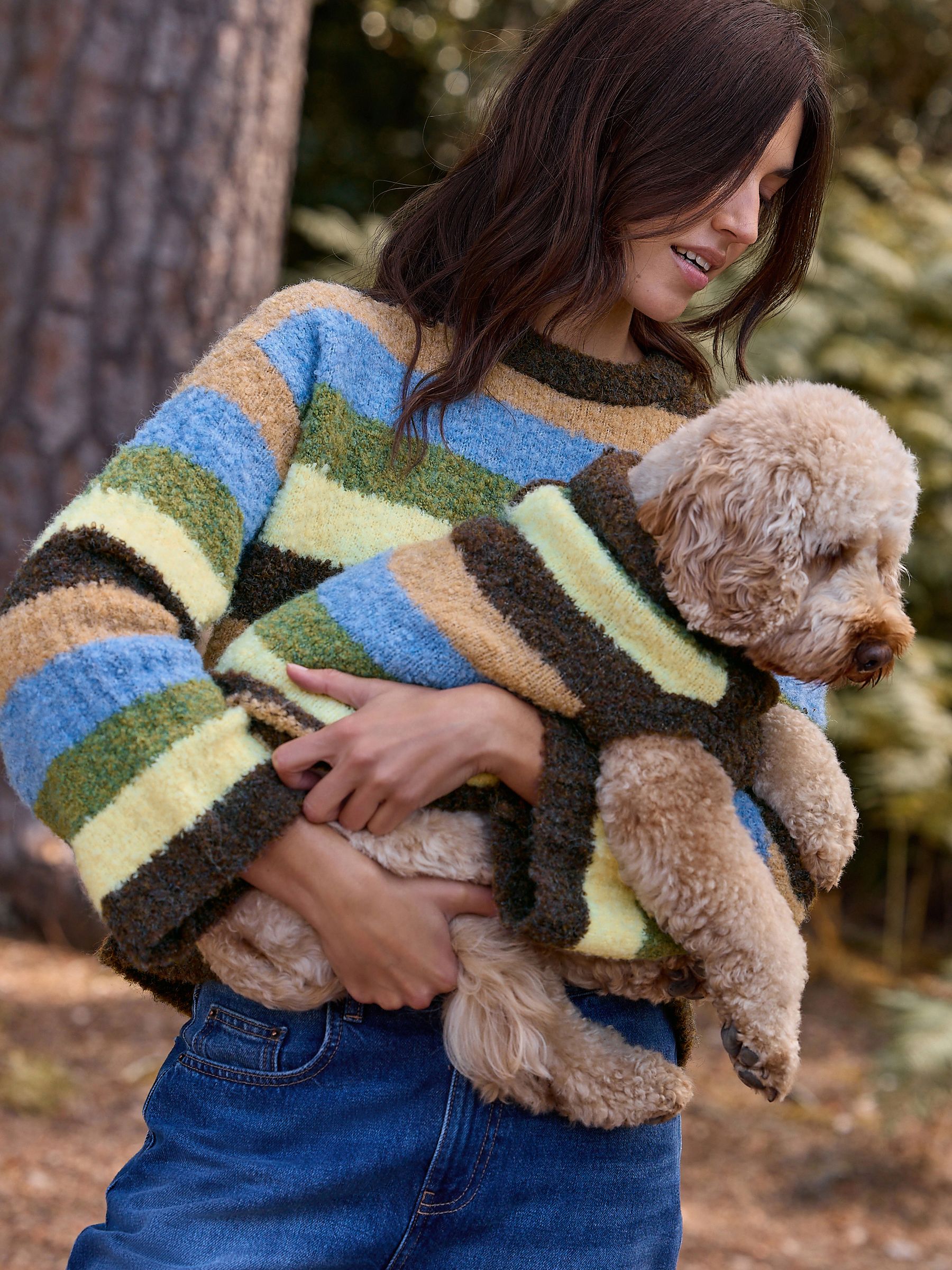 Buy Multi Stripe Boucle Knitted Dog Jumper With Wool from Next USA