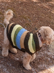 Multi Stripe Boucle Knitted Dog Jumper With Wool - Image 6 of 11