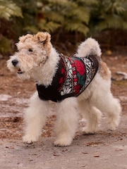 Chocolate Brown Fairisle Knitted Dog Jumper With Wool - Image 3 of 10