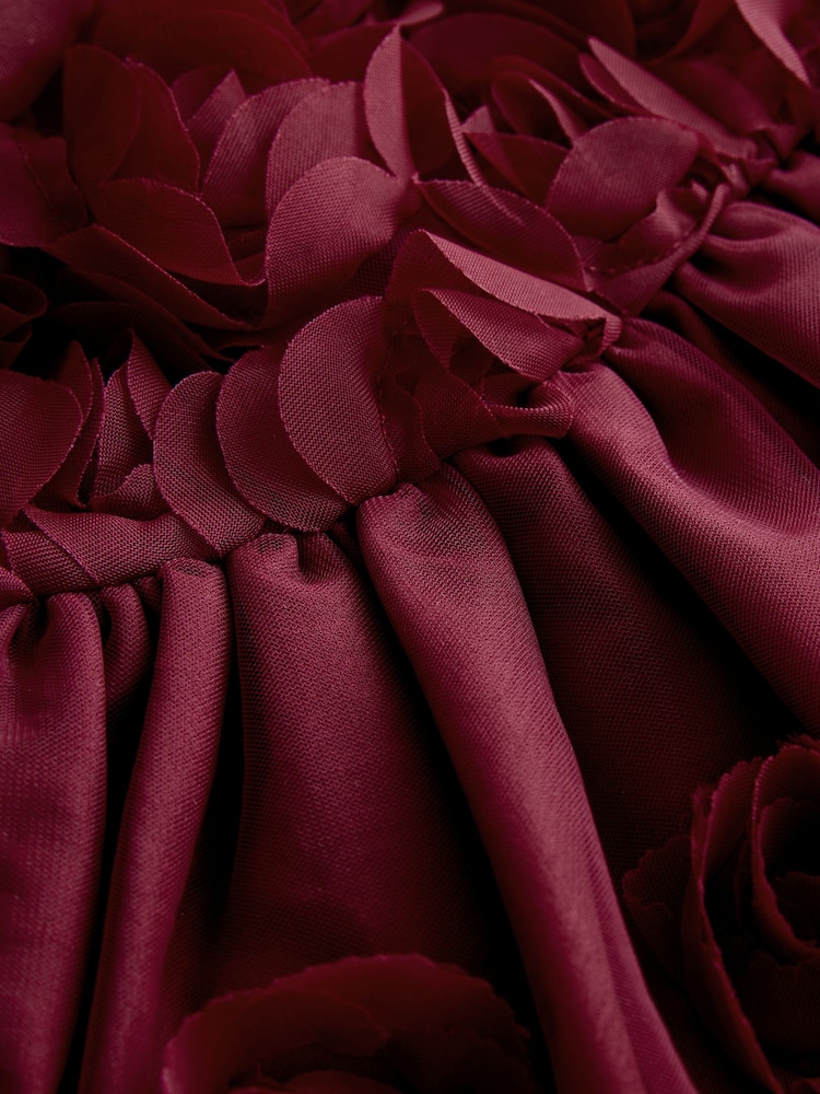 Berry Red 3D Flower Mesh Dress (3mths-8yrs) - Image 9 of 9
